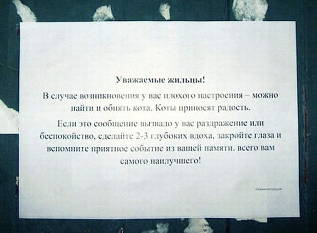 самые добрые объявления 