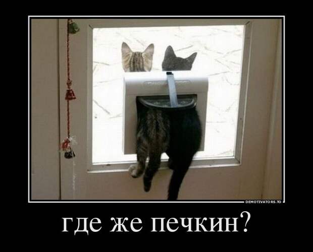 Демотиваторы демотиваторы, прикол, юмор