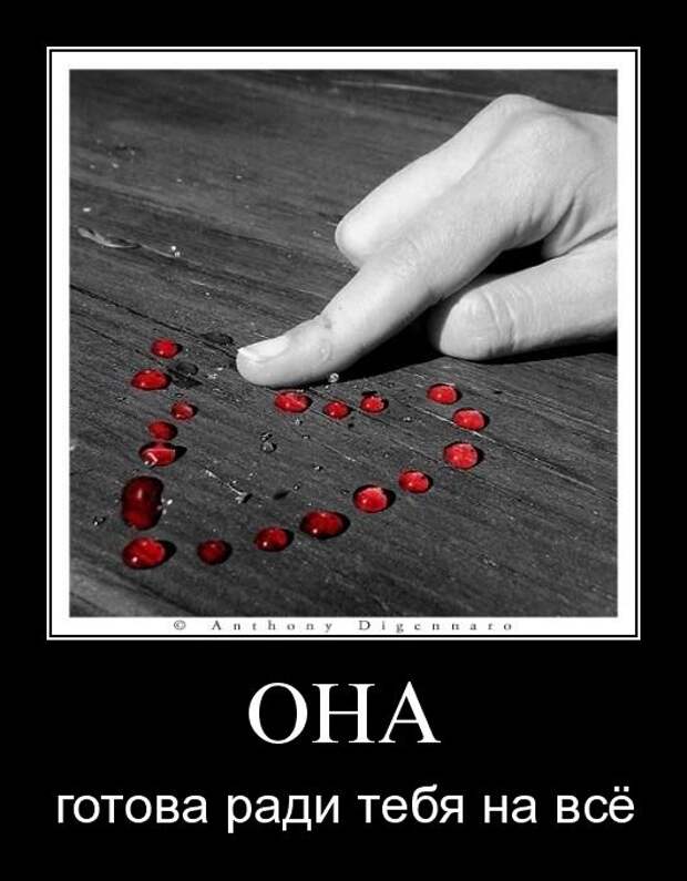 Демотиваторы (107 фото)