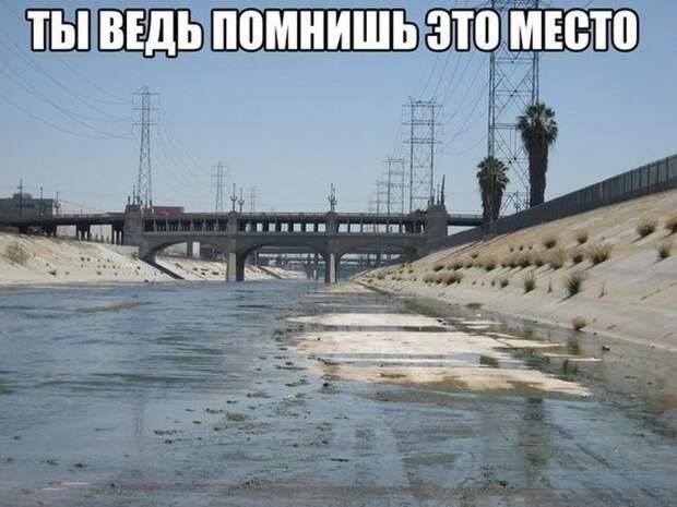 Смешные картинки с подписями катинки, прикол, юмор