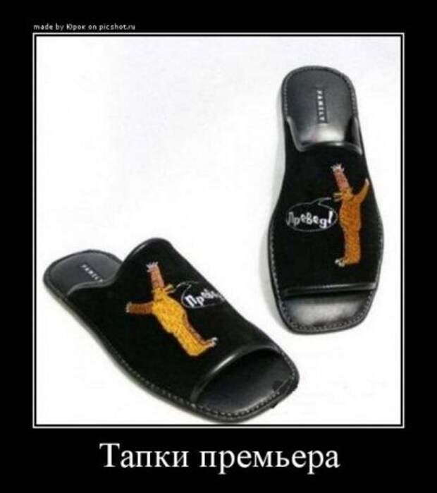 Демотиваторы про котэ и не только.