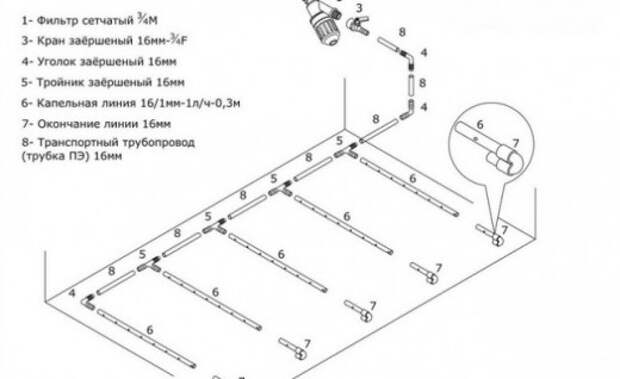 Схема капельного полива