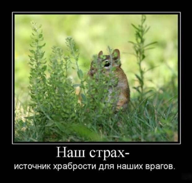 Смешные и серьезне демотиваторы.