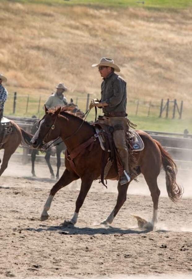 John Wrangling - Yellowstone Season 2 Episode 1