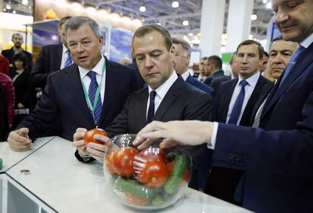 Губернатор Калужской области Анатолий Артамонов, премьер-министр РФ Дмитрий Медведев