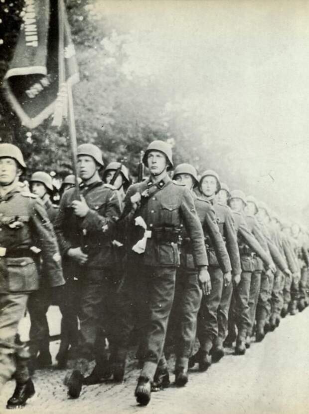 Европейские крестоносцы Гитлера под Ленинградом. Часть первая