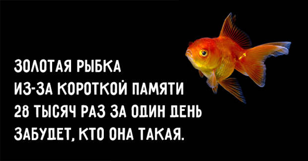 Это все происходит на Земле всего за один день (3)