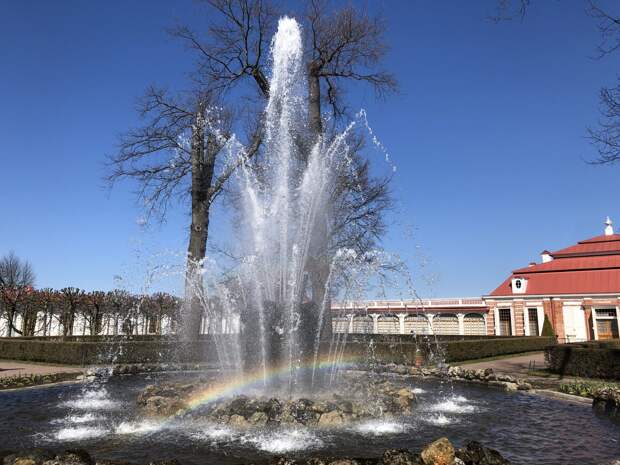 Более 700 млн Петербург потратит на содержание фонтанов и общественных туалетов