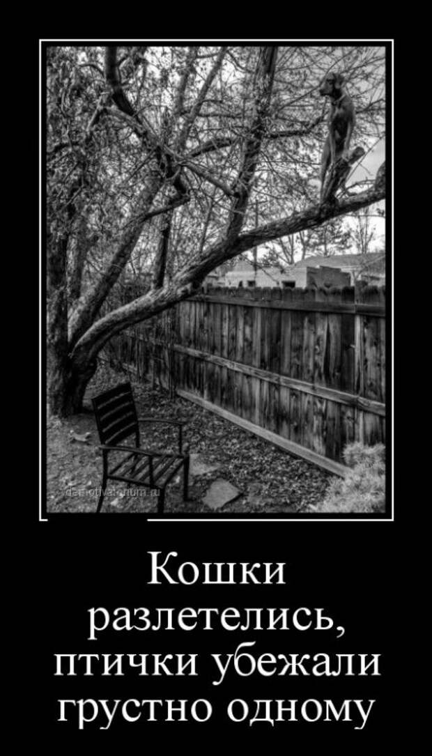 Средние демки 