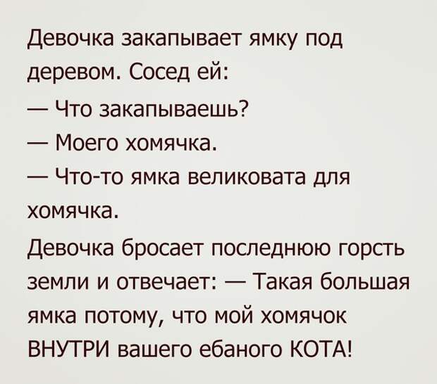 Картинки