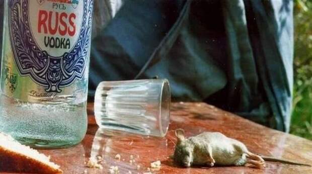 Эх, Россия (72 фото) Эх, Россия (72 фото)