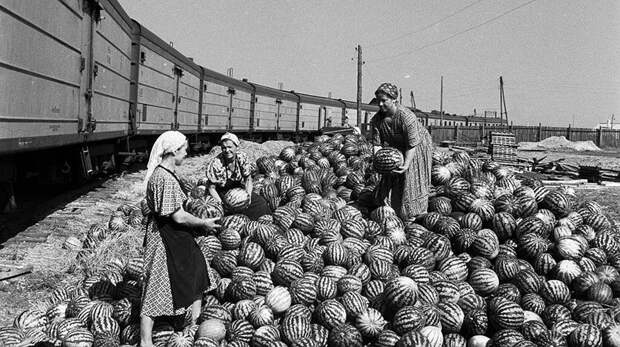 Созидатели и труженики Страны Советов история, ссср