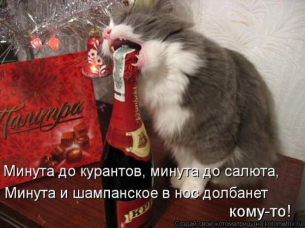 Котоматрицы