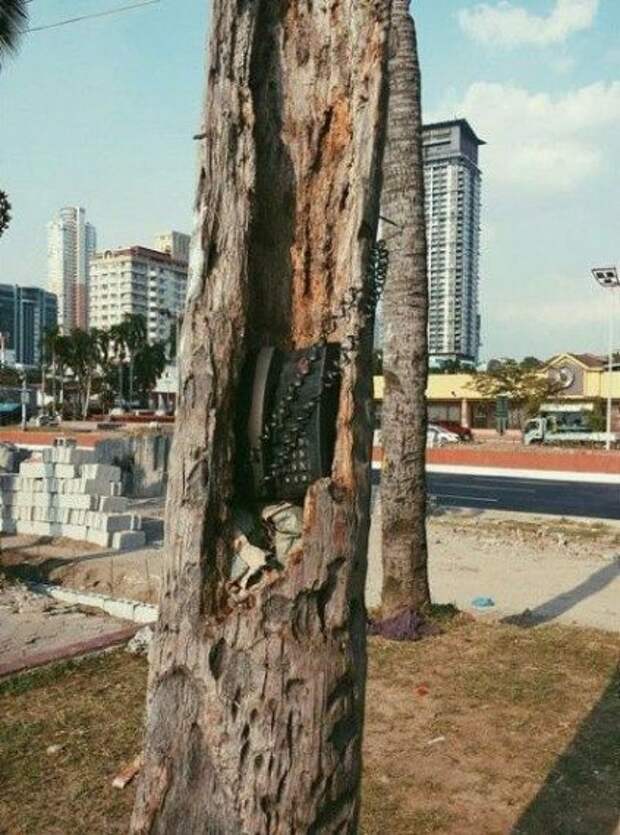 Забавные фотоприколы
