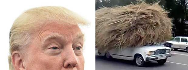 15 вещей, похожих на Дональда Трампа
