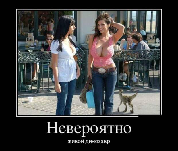 Демотиваторы (30 фото) Демотиваторы (30 фото)