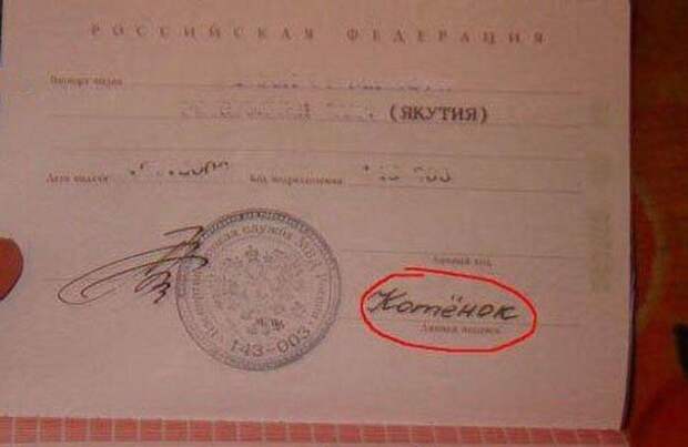 самые странные и смешные подписи в документах