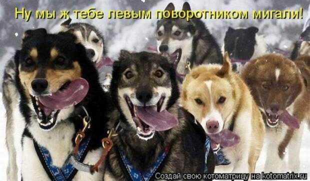 Котоматрица 26