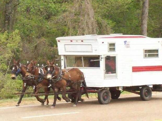 Прикольные картинки. Вечерний выпуск (52 фото)