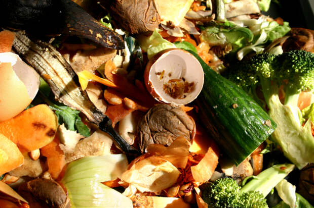 Пищевые отходы так же страшны для экосистемы, как и любые другие.
