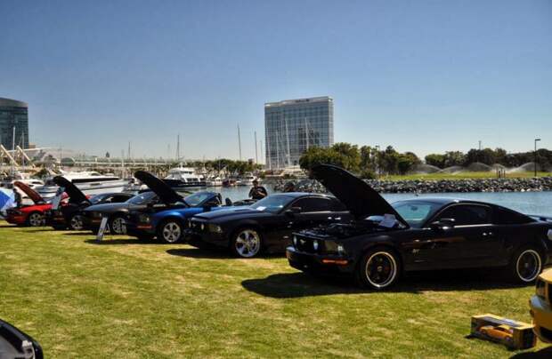 авто, ford, mustang