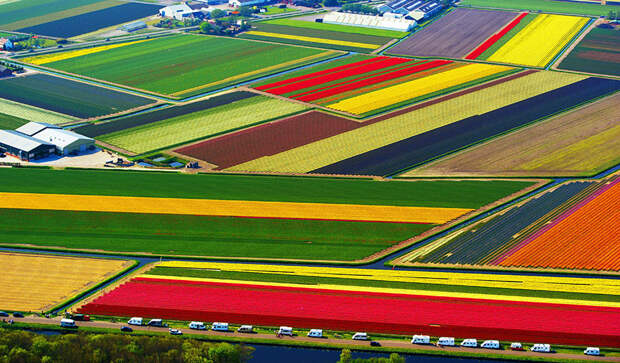 5. Поля тюльпанов, Нидерланды красота, пейзажи, природа