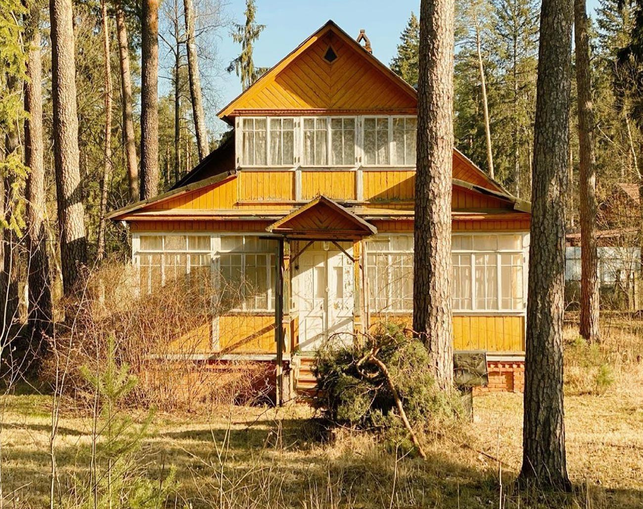 Уникальные советские дачи, какими вы их еще никогда не видели (ФОТО)