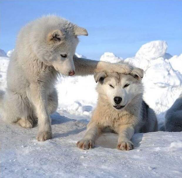 Давайте улыбаться вместе :)