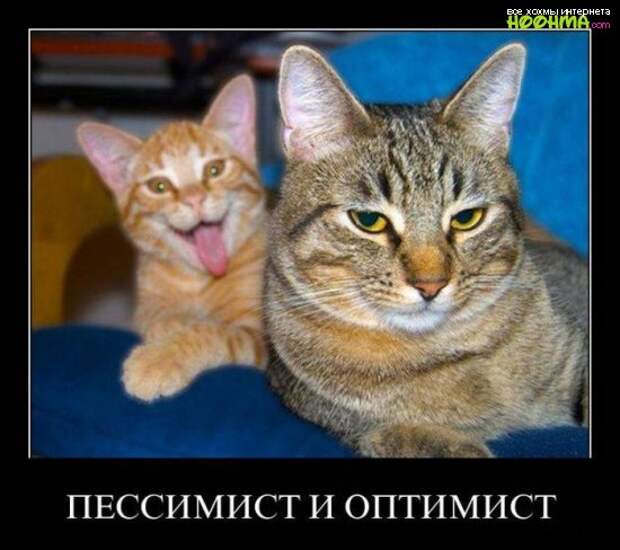 Отличная свежая подборка демотиваторов