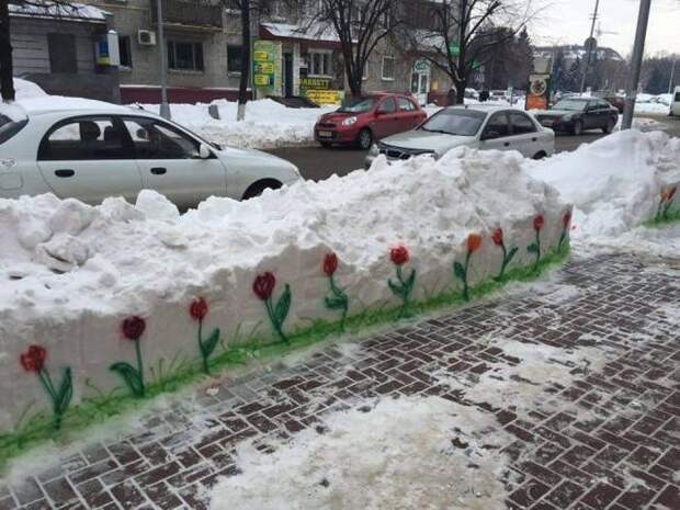 Прикольные картинки картинки, фото, юмор