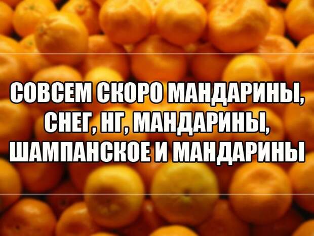 А ведь скоро Новый Год!