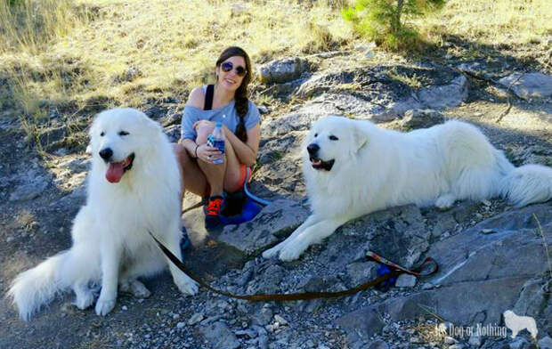 Great Pyrenees Hiking