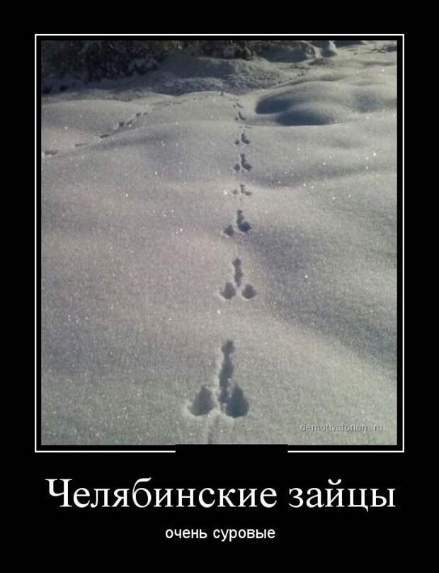Демотиваторы демотиваторы, юмор