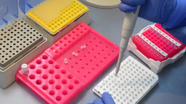 В Подмосковье рассказали о тестировании людей на коронавирус