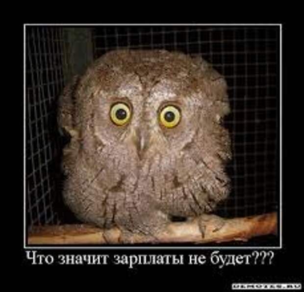 Анекдотики коротенькие, но симпатишные, украшенные картинками Анекдотики коротенькие, но симпатишные, украшенные картинками