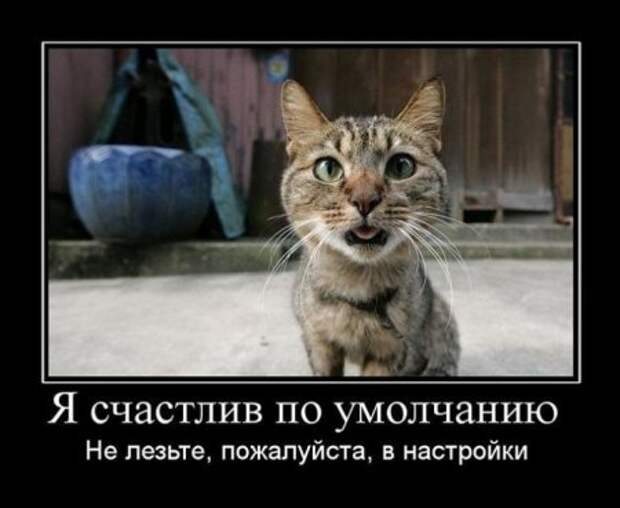 Демки, будет смешно!
