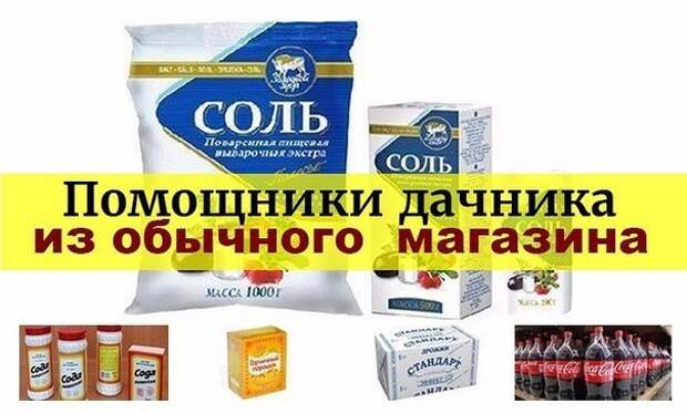 Помощники дачника из обычного продуктового магазина Помощники дачника из обычного продуктового магазина