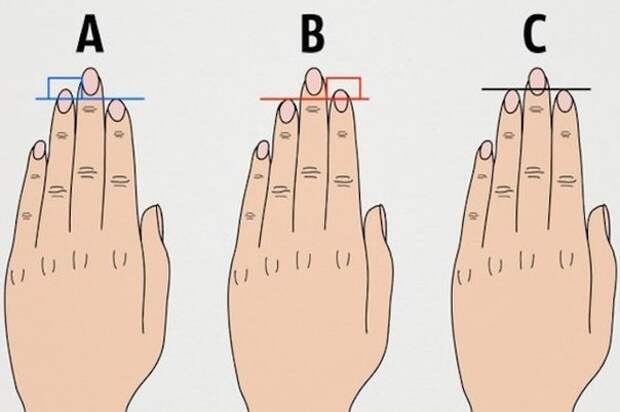 Что длина пальцев руки говорит о вашем характере