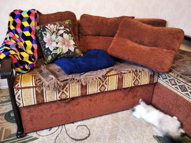 Вещи, из-за которых в квартире всегда будет пыльно, сколько ни убирай