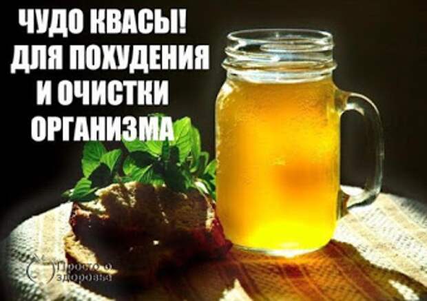 Квасы для похудения Квасы , квас