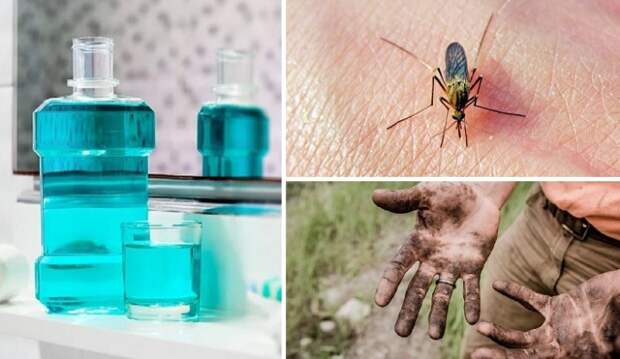 13 способов применения ополаскивателя для полости рта, которых решат надоевшие проблемы