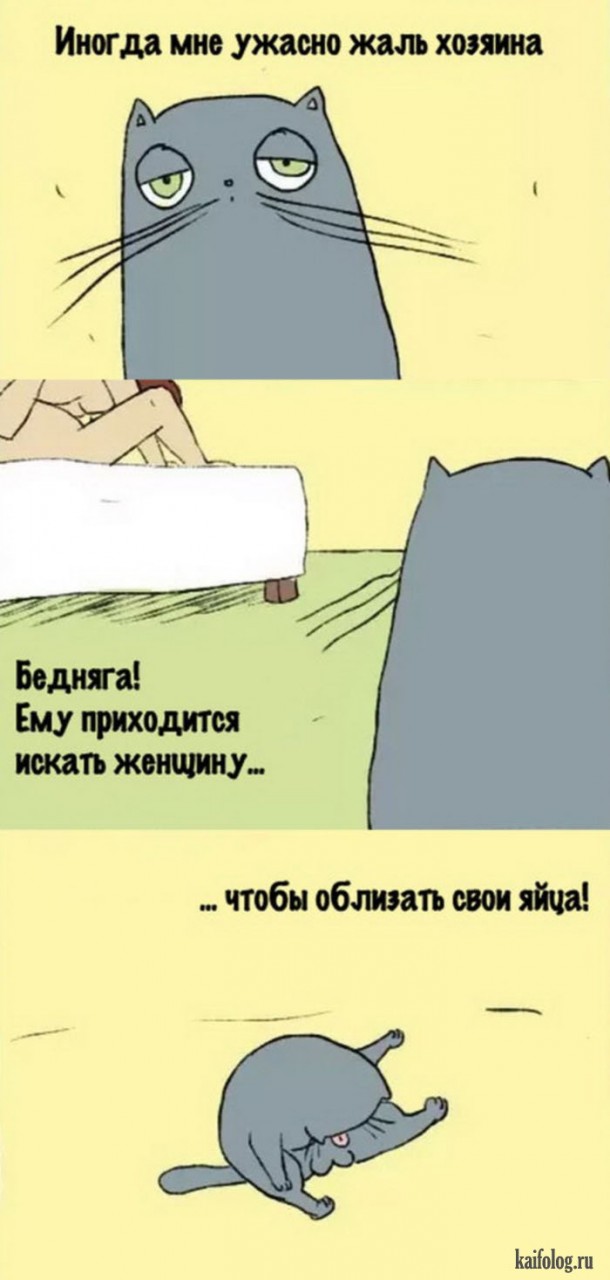 Веселые картинки (60 картинок) Веселые картинки (60 картинок)