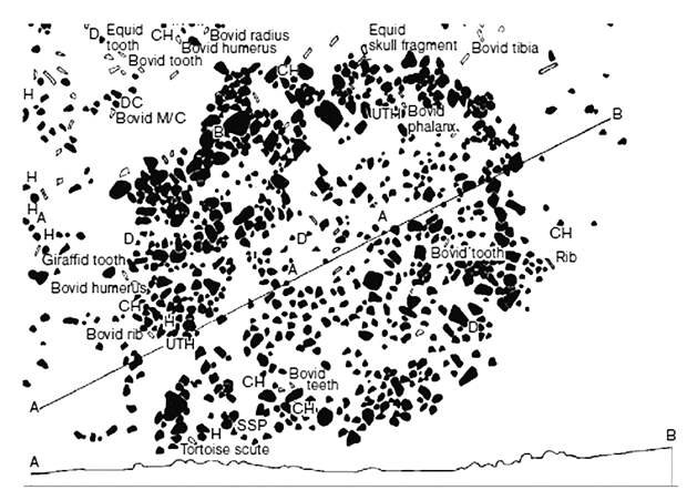 Схема участка DK I, Олдувай. Источник: M. Leakey, Olduvai Gorge: My Search for Early Man. (London: Collins, 1979), p. 55.
