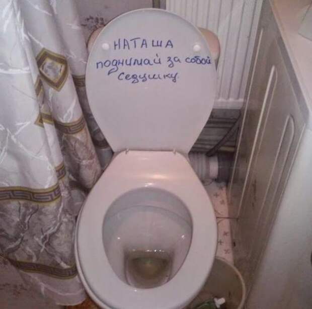 Картинки, юмор, приколы