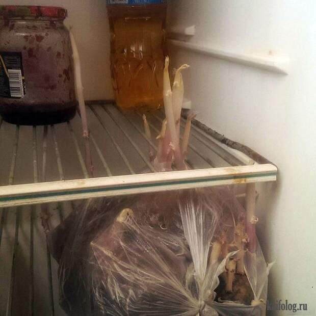 Фото приколы по-русски. Подборка - 279 (80 фото)