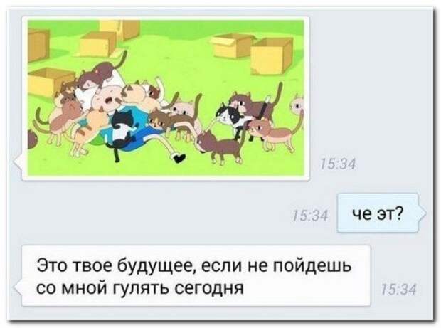 Убойные комментарии с сайтов и социальных сетей Убойные комментарии с сайтов и социальных сетей