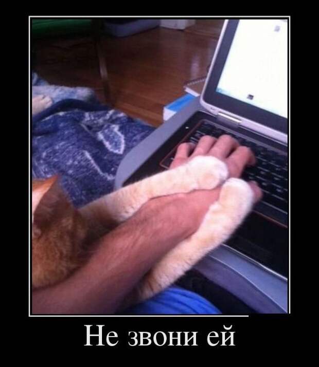 Демотиваторы демотиваторы, прикол, смех, юмор