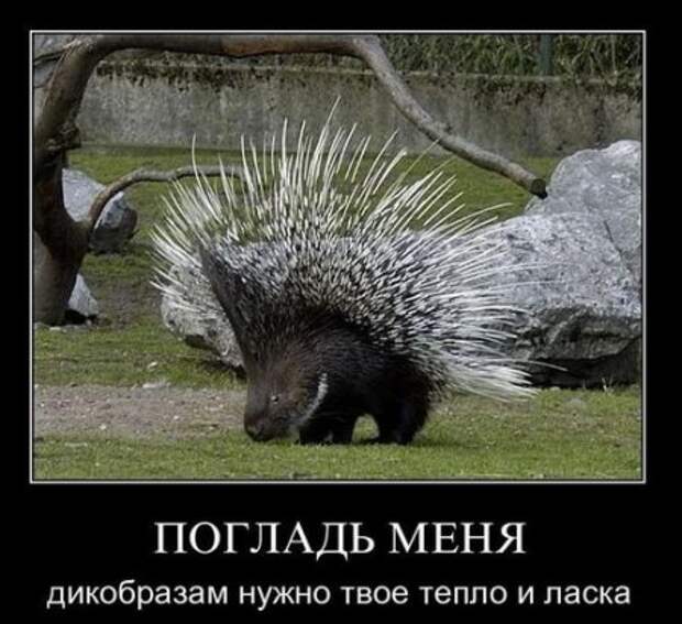 Демотиваторы классный юмор, позитив во всем.