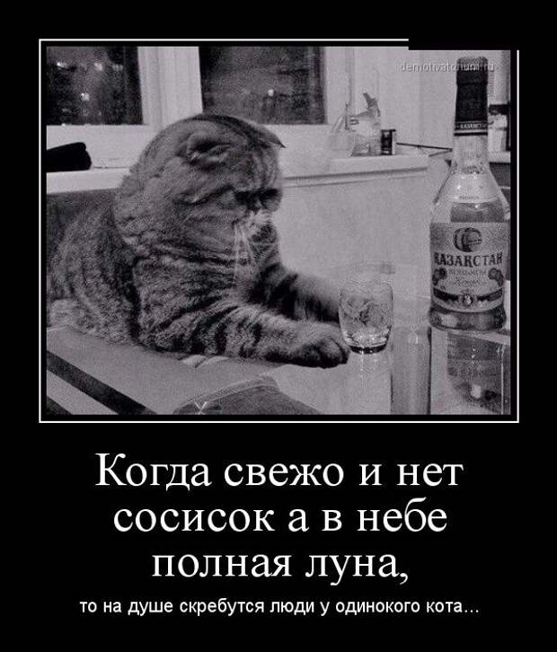 Демотиваторы (30 фото) Демотиваторы (30 фото)