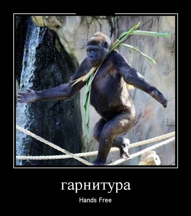 Демотиваторы